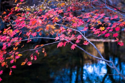 一边亲一边免费下载界面